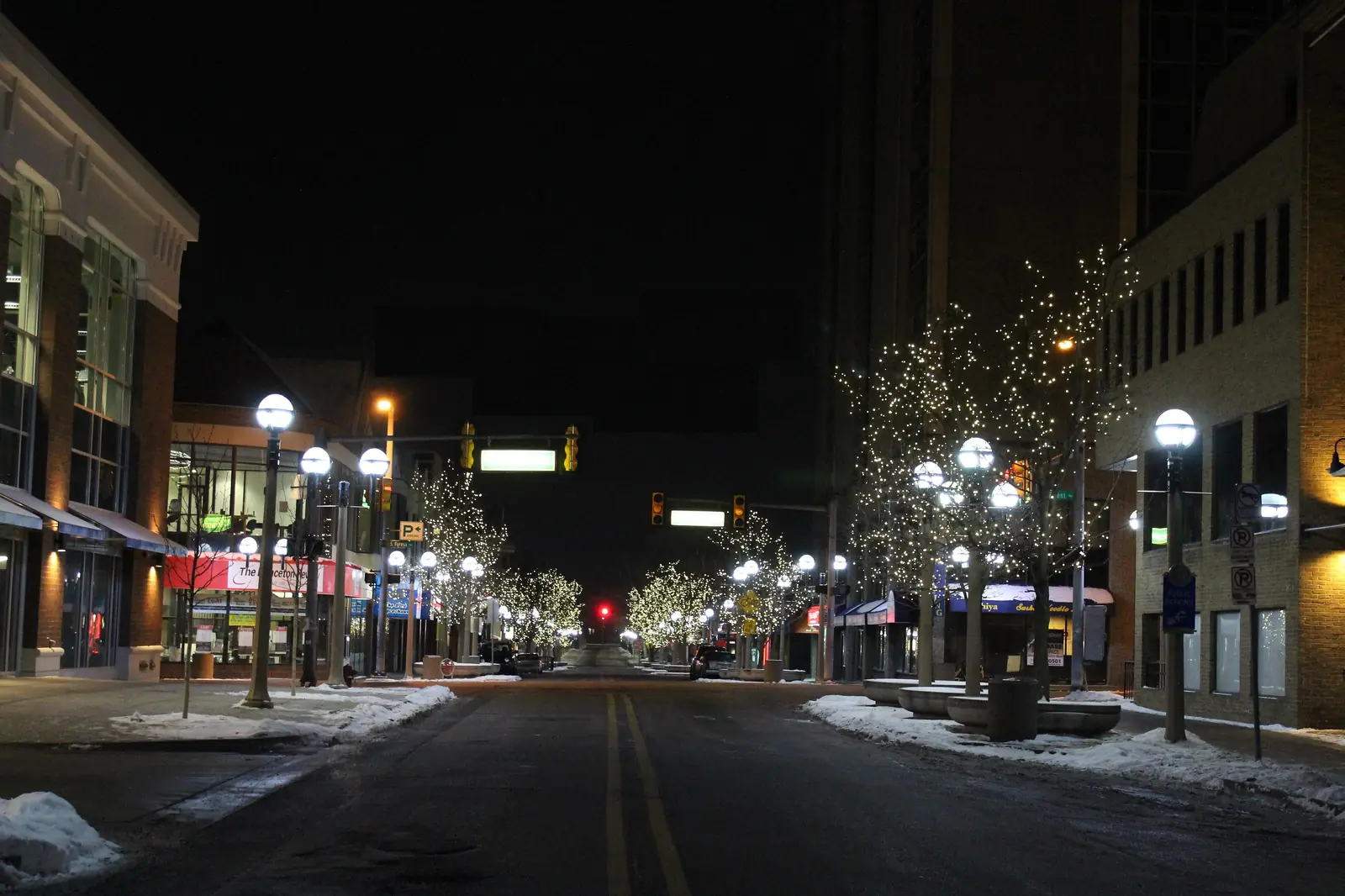 South University, Ann Arbor